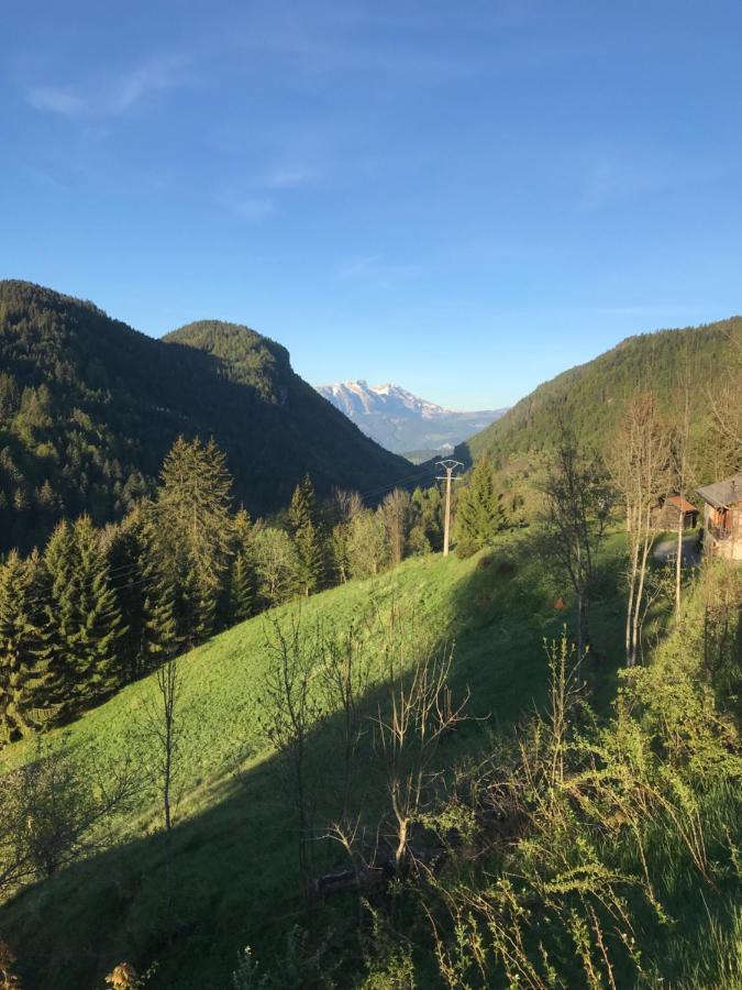 Chalet Les Trolles Les Gets Exteriör bild